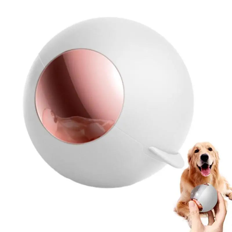 Lint Roller Ball Reusable Sticky Pet Hair Removal Tool Portable Dog Cat Pet Hair Remover For Clothes Laundries Sticky Cleaner